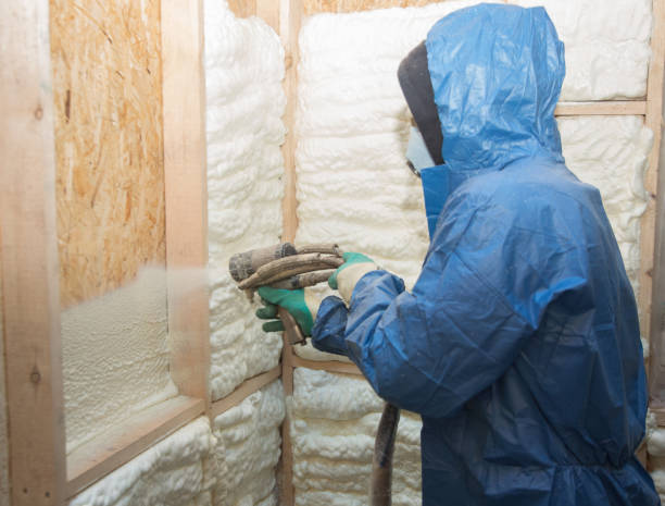 Types of Insulation We Offer in Waikele, HI